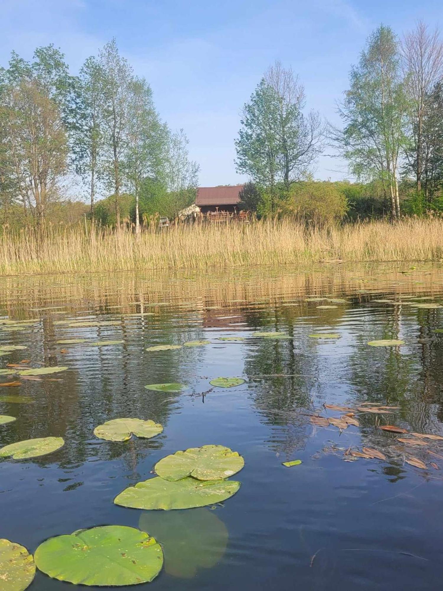 Drewniany Domek Zurawi Trakt Zabrsko Dolne Bagian luar foto